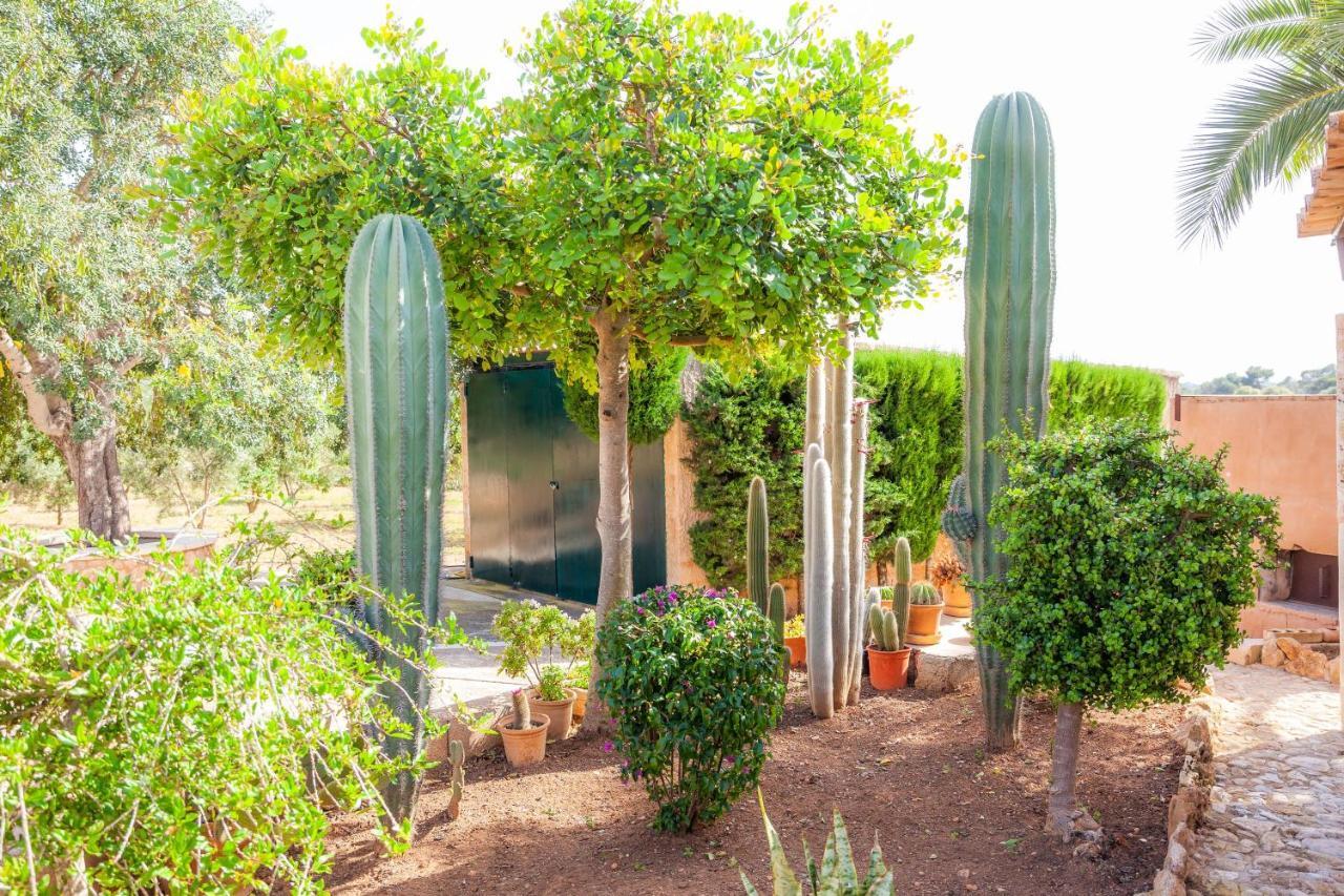 Ses Salines Cottage With Private Pool And Barbecue Bagian luar foto